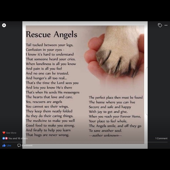 ❤️🐾Please Remember to be kind  ! 🐾❤️ - Picture 7 of 8